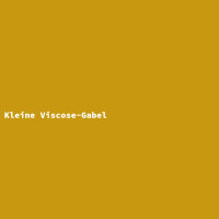 Kleine Viscose-Gabel