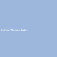 Kleine Viscose-Gabel