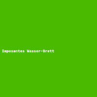 Imposantes Wasser-Brett