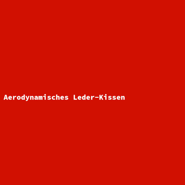 Aerodynamisches Leder-Kissen
