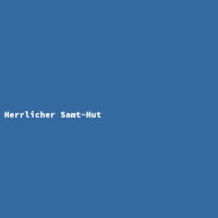 Herrlicher Samt-Hut