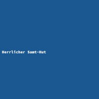 Herrlicher Samt-Hut